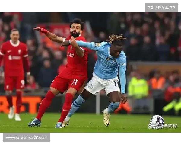 里尔前锋主场进球率攀升,成球队得分保障 里尔前锋主场进球率攀升,成球队得分保障